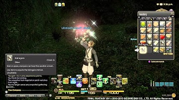 Final Fantasy XIV A Realm Reborn - Getting Kidragora Minion