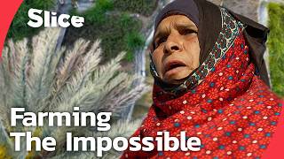 The Omani Herders Who Turn Desert Mountains Into Life | SLICE