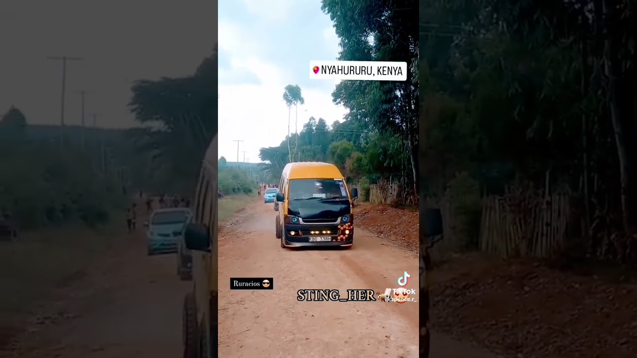 Bumblebee 🔥🔥🔥⚡️⚡️⚡️ 