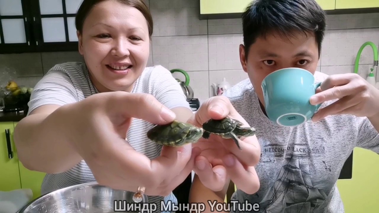 шиндр мындр ютуб любовь
