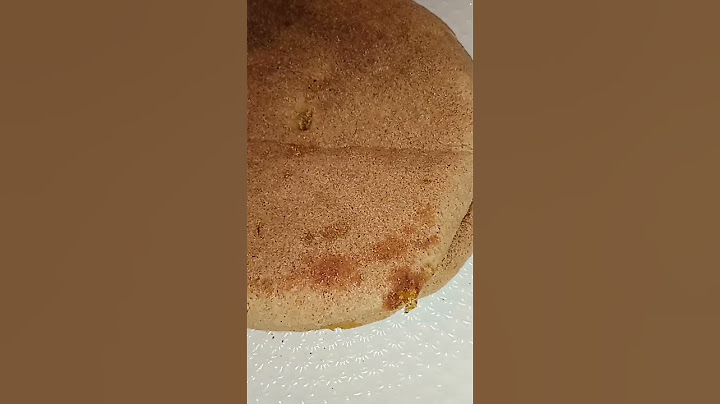 خبز معمر