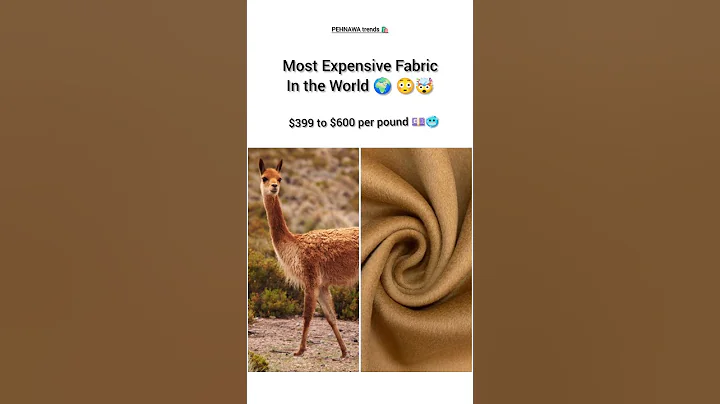 Most Expensive Fabric in the World😳🤯#fabrichaul #shorts