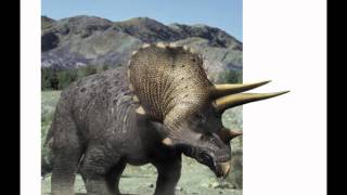 triceratops tribute