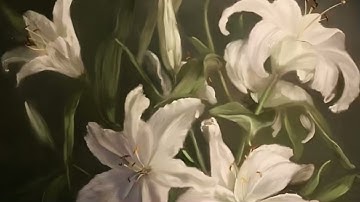 سورة القصص كاملة – أحمد بن طالب