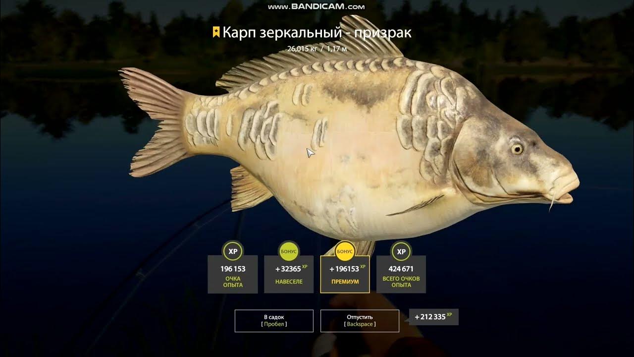 Трофей наглеца