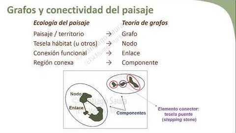 13. Metodologías para el análisis de la conectividad