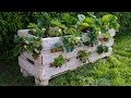 How to make a better Strawberry Pallet Planter