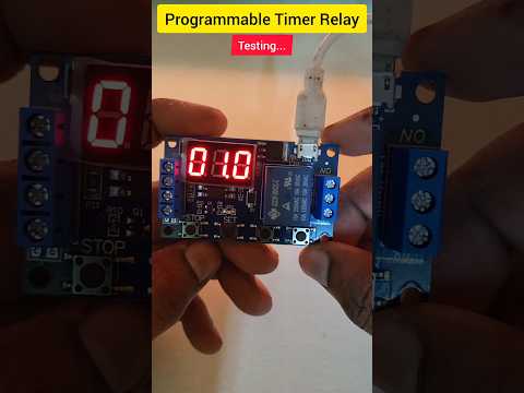 Programmable Timer Relay
