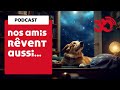 Nos animaux rêvent aussi !