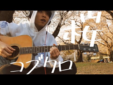 桜 コブクロ