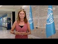 645 millones de personas pasaron hambre en 2025, apunta la FAO | RTVE Noticias