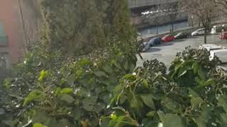 * Spanje 20190305 164029