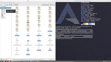 ArcoLinux : 506 How to install cinnamon on ArcoLinuxD - phase 3