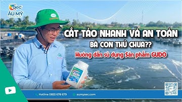 CẮT TẢO nhanh và an toàn với Gudo