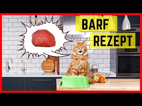 Video: BARF - Eine Diät Für Katzen