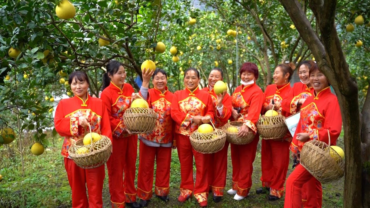 U.S. professor witnesses poverty-relief achievements in rural China