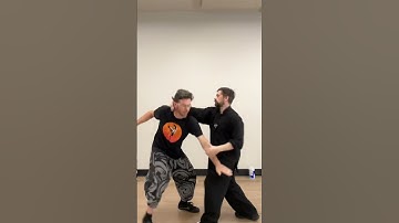 The Best Baguazhang Technique to Learn! #martialarts