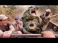 Unbelievable Wildlife Moments Caught on Camera That Feel Like a Movie Scene