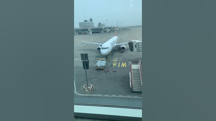 إجراءات هامة للسفر من الجزائر إلى أمريكا ومعلومات على Lbagage