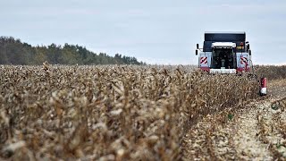 La Commission européenne propose d'augmenter les droits de douane élevés sur les céréales russes