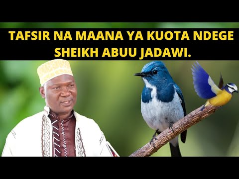 Video: Jiwe la kunguru ni nini?