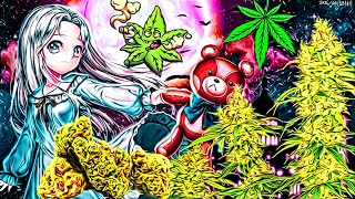 🐲 🐝 Marijuana 170 DAYS 🌺 Цветение 90 DAYS ☀ GROW Cannabis ☀ Конопля 🌺 Марихуана 🐝 🍃 🍃 Клоны 🌺 🌺