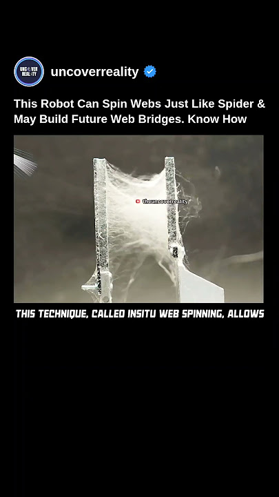 This Robot Can Spin Webs Just Like Spider & May Build Future Web Bridges. Know How #robot #shorts