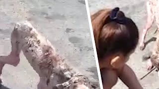 この動物の姿に通行人は恐れをなした。でもすぐに動物病院に連れて行かなければならなかった。