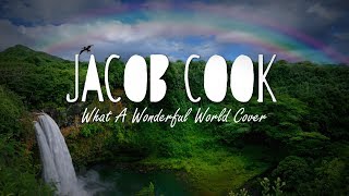 What A Wonderful World - Louis Armstrong Cover by Jacob Cook