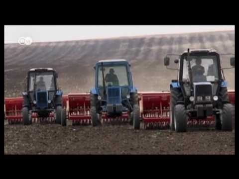 \"ამიტომაც იკარგება მიწაც და მოსავალიც\"  (ნაწილი 1)