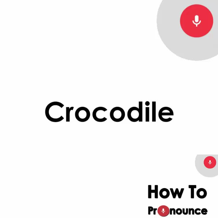 How to Pronounce Crocodile | Pronunciation of Crocodile - YouTube