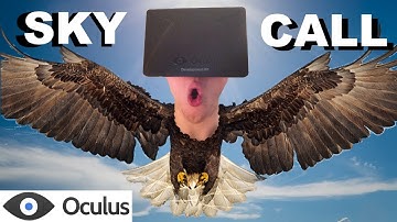 Flap Your Wings in Skycall: Rook Island with the Oculus Rift