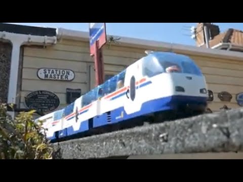 Playmobil RCE Intercity Express Train With Custom Passenger
