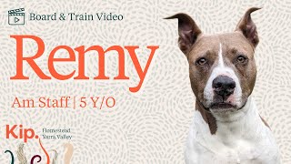 Remy Training Video