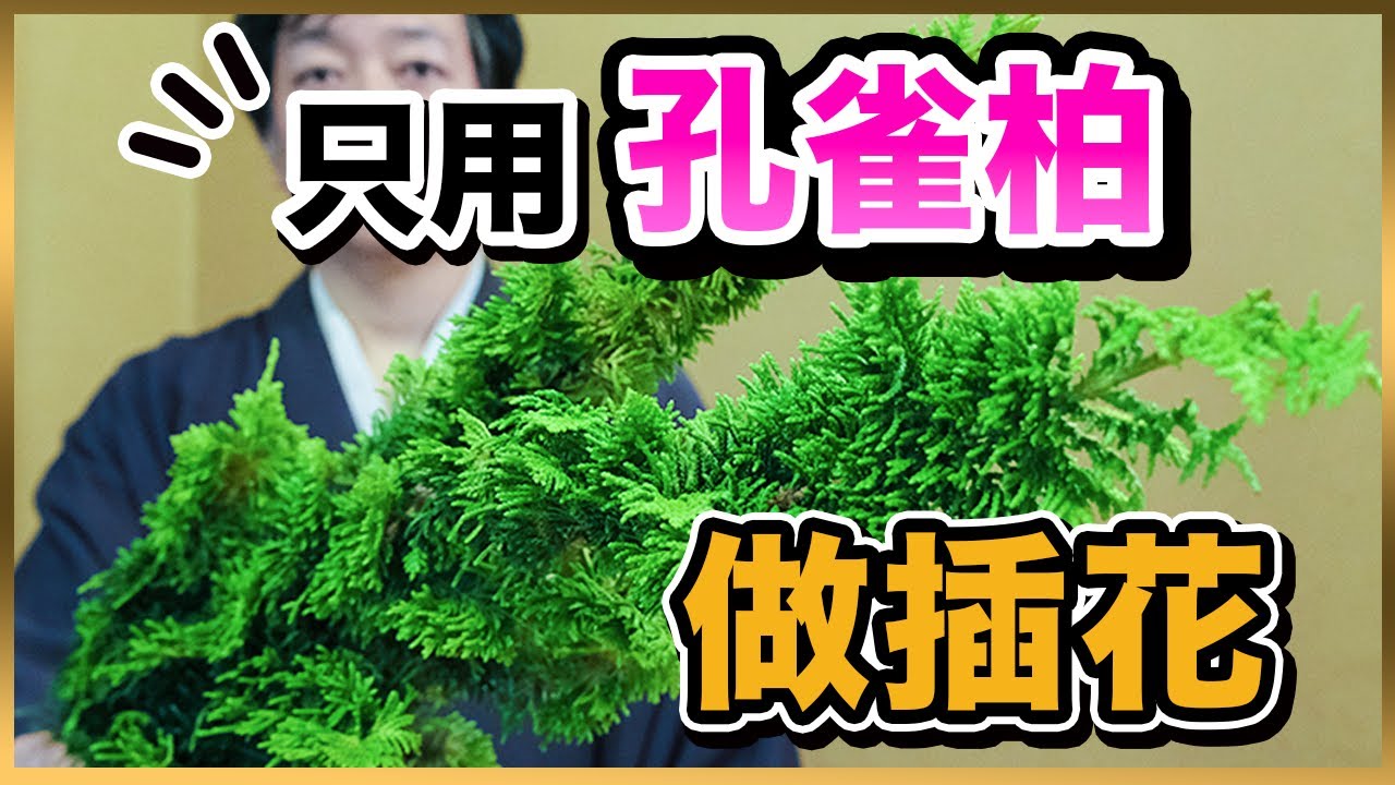 插花教學｜花道家匠心之作！用孔雀柏製作傳統生花