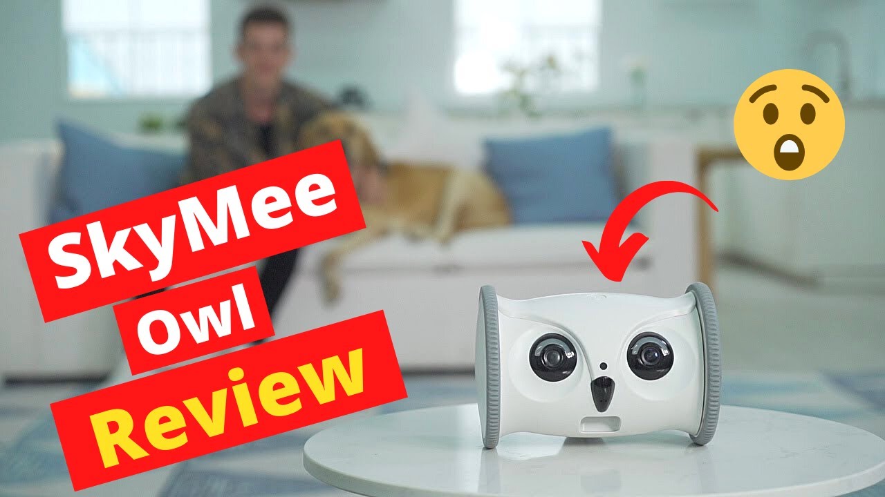Skymee Owl Robot Review | Is it worth the Money?