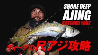 【ショアディープアジング】ディープの尺アジ攻略～家邊克己　SHORE DEEP AJING