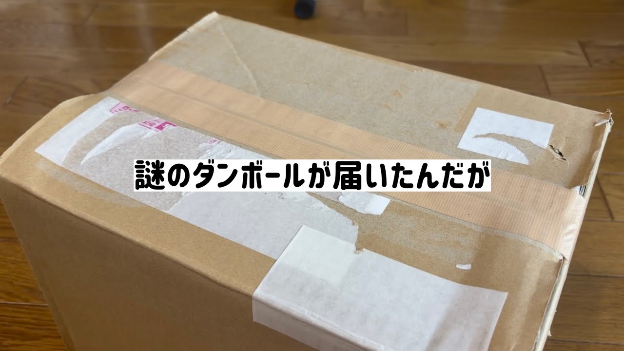 Bonus Episode] Opening a cardboard box that arrived unexpectedly
