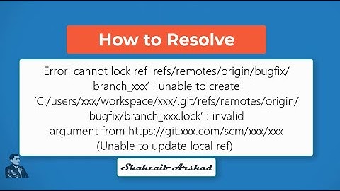 How to resove issue of Error: cannot lock ref 