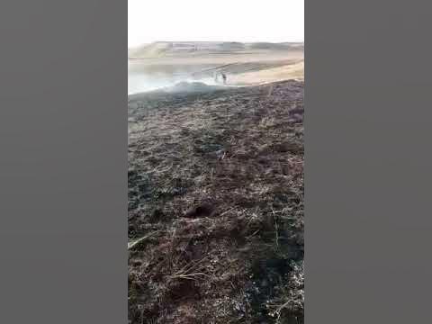 Горжусь внуками. - YouTube