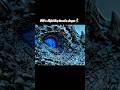 Night king killed viserion 🥶🥶 || #shorts #ytshorts #gameofthrones