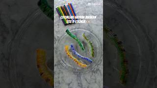 Evde Deney Fikirleri🐛 Okul Öncesi Deney Suda Büyüyen Tırtıl Deneyi #keşfet #reels #etkinlik #deney #