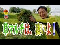 【自然栽培35】草マルチで、収穫量を増やそう！草マルチの効果を検証したよ。検証結果から、草マルチの役割を学ぼう！
