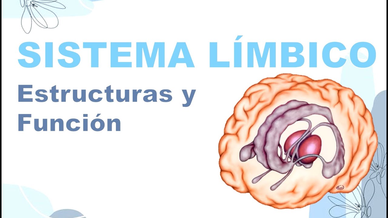 SISTEMA LÍMBICO