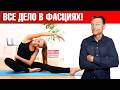 Хотите иметь крепкое тело? Мышцы ни при чем! Все дело в фасциях! 👀