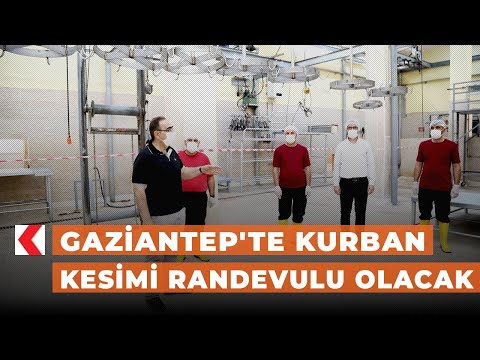 Gaziantep'te kurban kesimi randevulu olacak