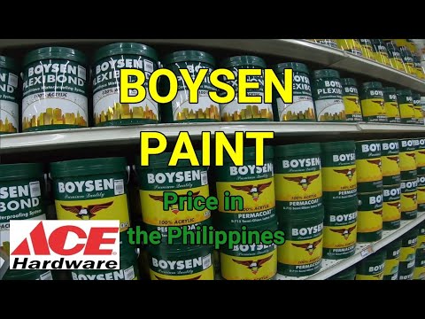 How Much Boysen Paint 1 Liter