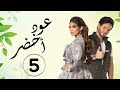 مسلسل عود أخضر HD الحلقة الخامسه بطولة شيلاء سبت و جاسم النبهان و بدر آل زيدان 