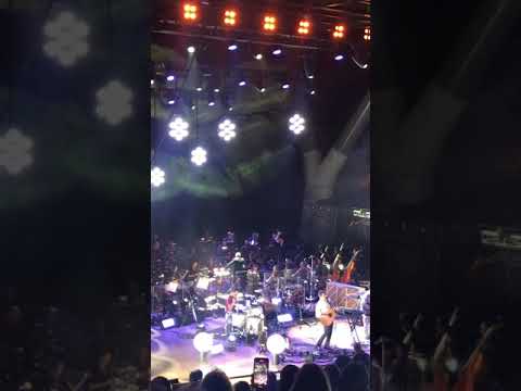 Guster w/ Colorado
