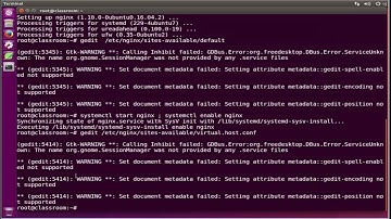 How To Set Up nginx Virtual Hosts Server Blocks on ubuntu linux